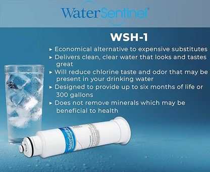 WaterSentinel WSH-1 Refrigerator Replacement Filter Fits: Hisense HX2017F-A, HX2017FR-A