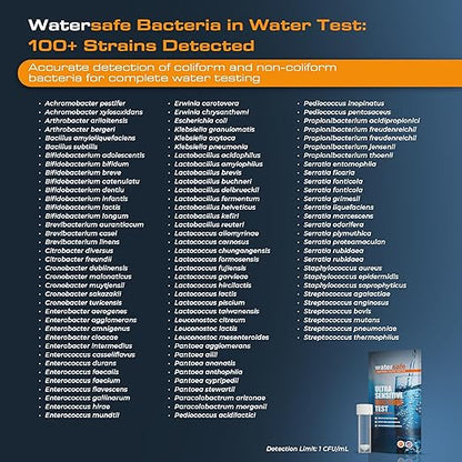 Watersafe® Bacteria Water Test Kit – USA-Made – Results as Fast as 6 Hours – Detects Coliform (Inc. E. coli) & Non-Coliform Bacteria in Drinking, Well & Tap Water – Lab-Quality Testing – 4 Pack