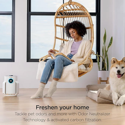 Shark Air Purifier for Home, NeverChange Compact Pro, for Bedroom, Nursery, Home Office, Dorm, HEPA-Exceeding Filter, Captures Pollutants, Pet Dander, Dust, Odor, Smoke, and More, HP072GN, Honeydew