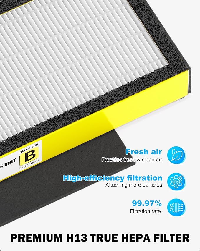4 Pack FLT4825 HEPA Replacement Filter B Compatible with Germ-Guardian Purifiers AC4825, AC4825E, AC4300, AC4800, AC4900, AC4850, 4 Pack H13 True HEPA Filters and 6 Activated Carbon Pre-Filters.