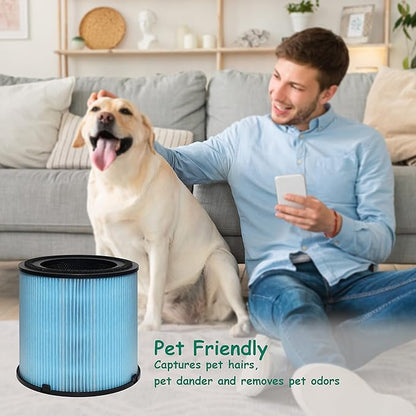 AP1001 Filter Replacement, Compatible with AP1001 Air Purifier, Part Number AP1001-RF, 5-Layer Purification System, 2 Pack