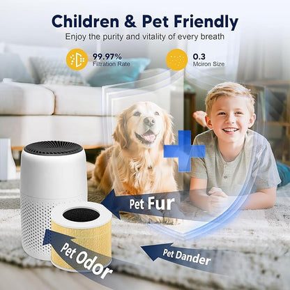 Core Mini Pet Care Replacement Filter for LEVOIT Core Mini and Core Mini-P Air Purifier, 3-in-1 H13 True HEPA High-Efficiency Activated Carbon, Core Mini-RF-PA, 6 Filter & 10 Fragrance Sponge, Yellow