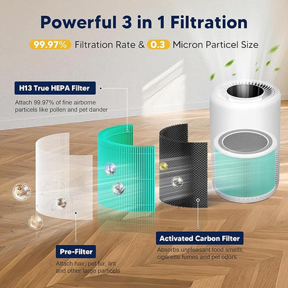 Core 200S Toxin Absorber Replacement Filter compatible with LEVOIT Core 200S and Core 200S-P Smart WiFi Air Purifier , 3-in-1 H13 True HEPA Activated Carbon Filter, Core 200S-RF-TX, Green, 4 Pack