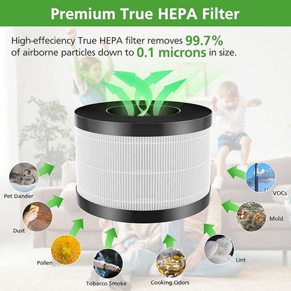 AP01 Filter Only Compatible with Himox AP01(H01) Air Purifi-er, High-Efficiency 3-Stage Filtration for Himox AP01 Replacement Filter, 2 Pack