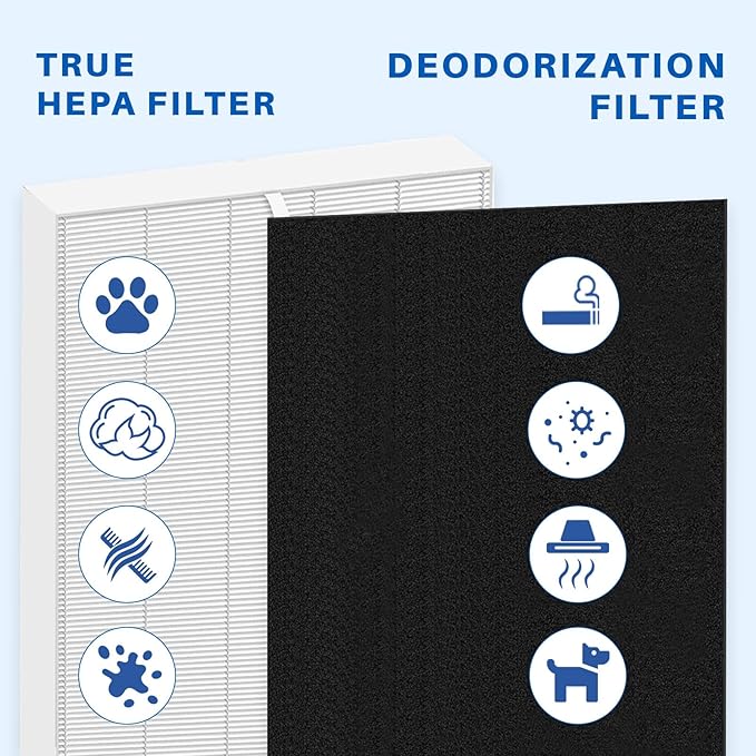 10 Pack 115115 Filter, Filter A Size 21 Replacement for Winix PlasmaWave Air Purifier C535 5300 5300-2 6300 6300-2 P300 AM90 C909 9800, 2 Size 21 Filters + 8 Carbon Pre-Filters