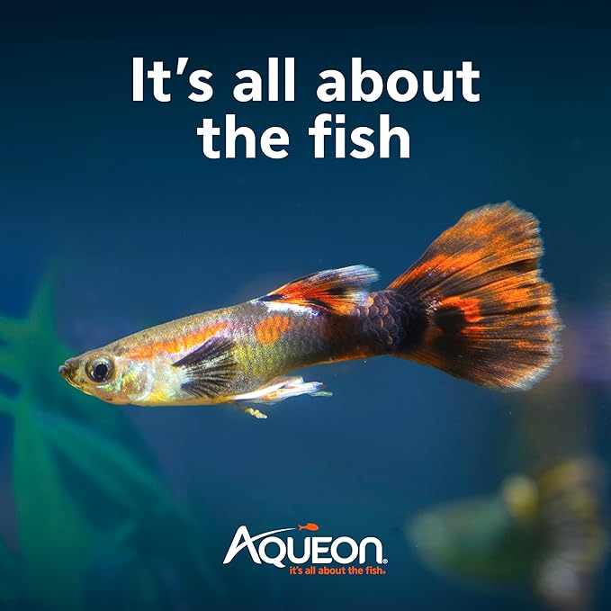 Aqueon SmartClean Power Filter with EcoRenew Filter Cartridge, Quick and Easy Water Changes, Quiet Operation, Adjustable Flow, for 20-30 Gallon Freshwater and Saltwater Aquariums, Large