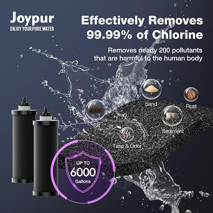 Black Purification Elements,Replacement Filters for ProOne® and Berkey® Filters,ProOne® Big+ or Berkey® Big Countertop Gravity Water Filter System (4 Pack)
