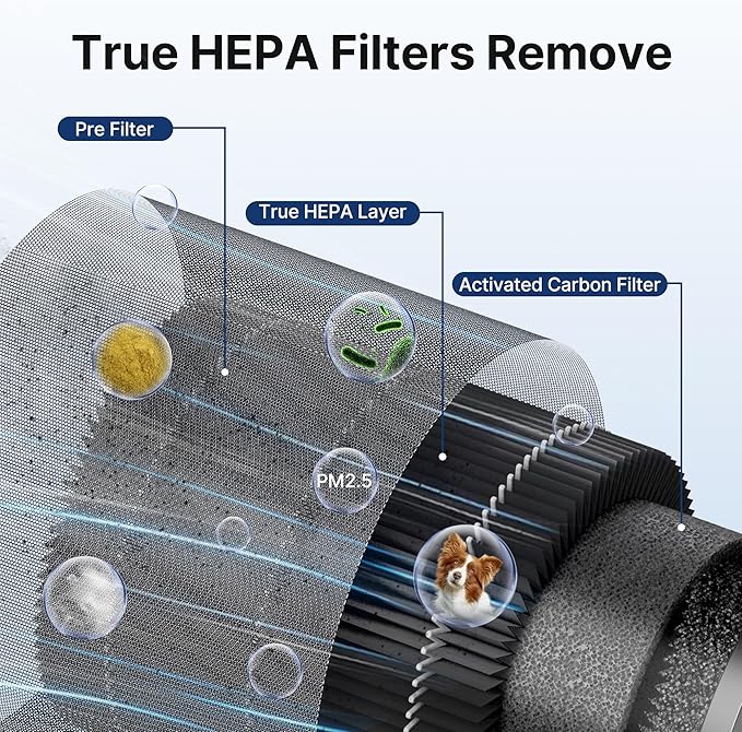 MR2566 Air Purifier Replacement Filter for MR2566 Air Purifier, Original Version, 1 Pack