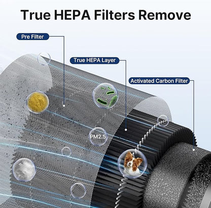 MR2566 Air Purifier Replacement Filter for MR2566 Air Purifier, Original Version, 1 Pack