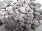 Aquatic Arts FilterPlus | Bio Media for Aquarium Canister Filter | 1000g Bulk Supply of Tank Filtration Matrix | Freshwater Supplies via Prime