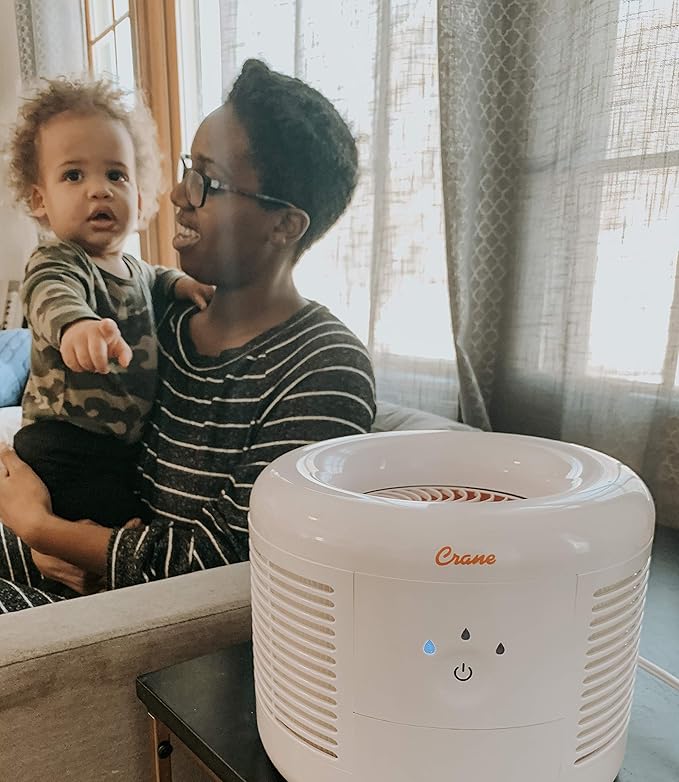 Crane HEPA Air Purifier, Air Purifiers for Home, Quiet Air Purifier HEPA Filter, Home Air Purifiers, Air Purifier For Pets, Office, Baby Nursery