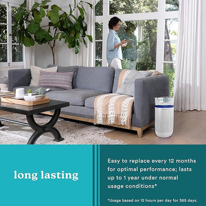 Homedics TotalClean 3-in-1 HEPA-Type Air Purifier Filter Replacement, Works with Homedics AP-T20, AP-T20WT and AP-T22 Air Purifiers, Captures Microscopic Airborne Particles