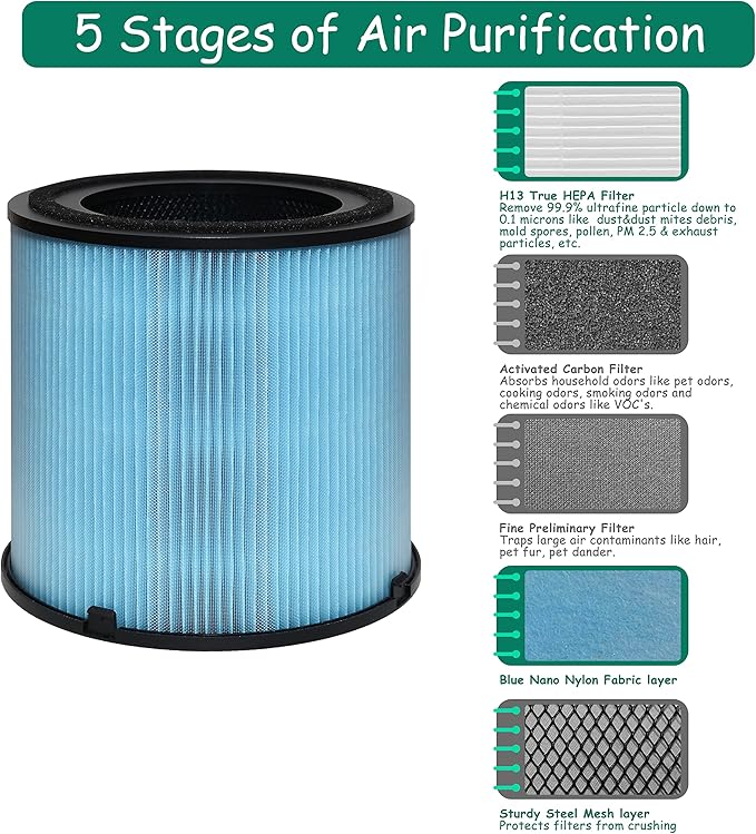 AP1001 Filter Replacement, Compatible with AP1001 Air Purifier, Part Number AP1001-RF, 5-Layer Purification System, 2 Pack