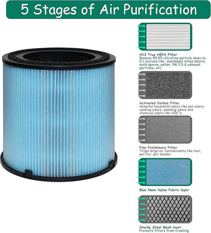 AP1001 Filter Replacement, Compatible with AP1001 Air Purifier, Part Number AP1001-RF, 5-Layer Purification System, 2 Pack