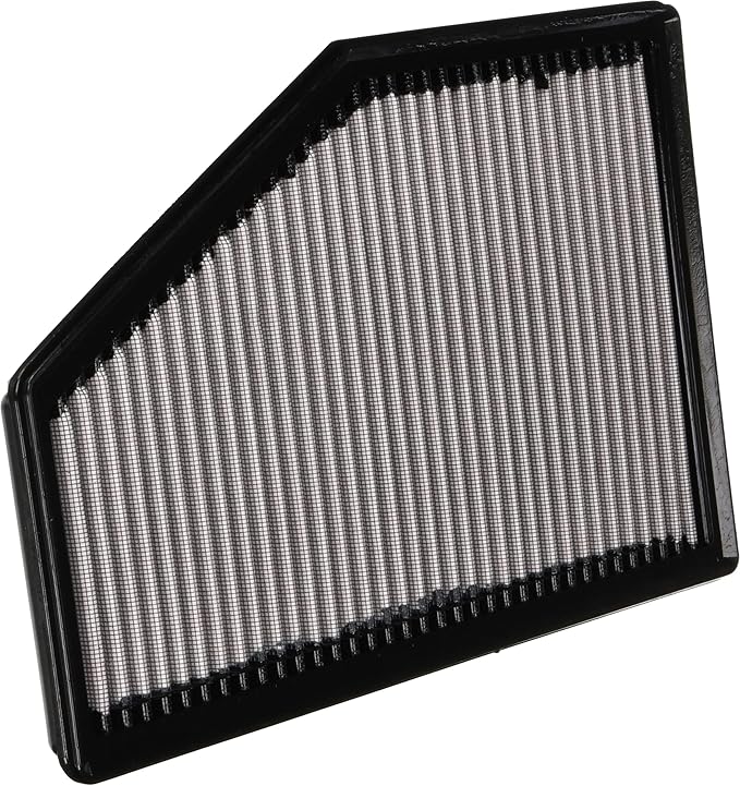 AEM 28-50049 DryFlow Air Filter