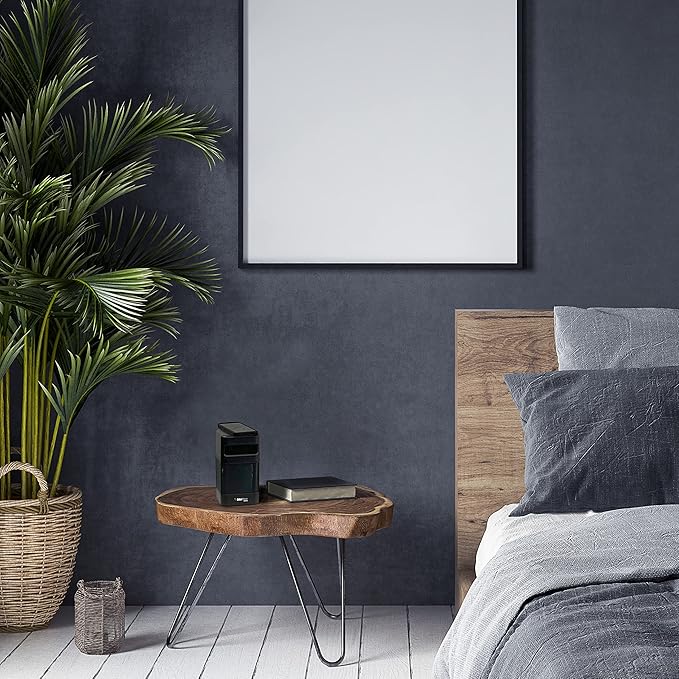 OdorStop OSAP2B HEPA Air Purifier for Areas up to 300 sq ft with USB Charger, Black